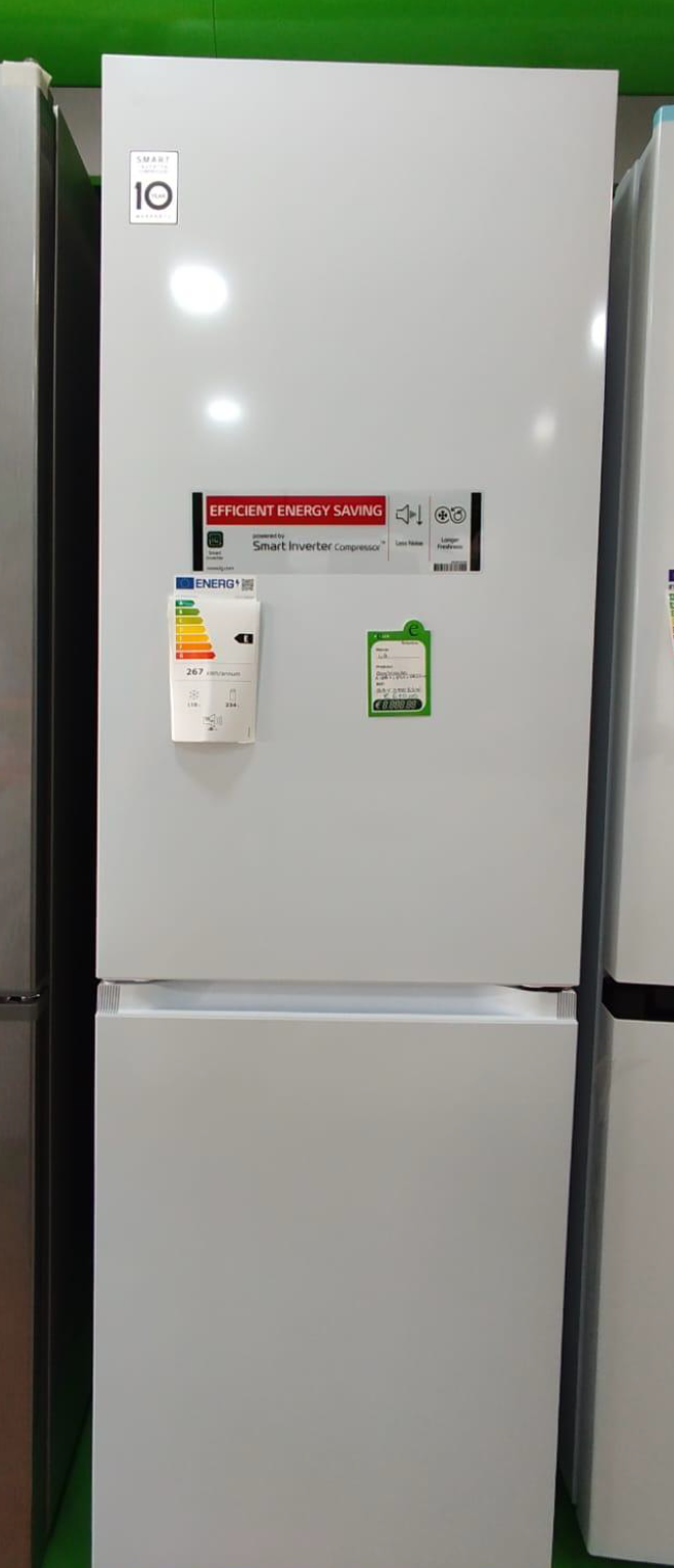 LG GBV3100ESW